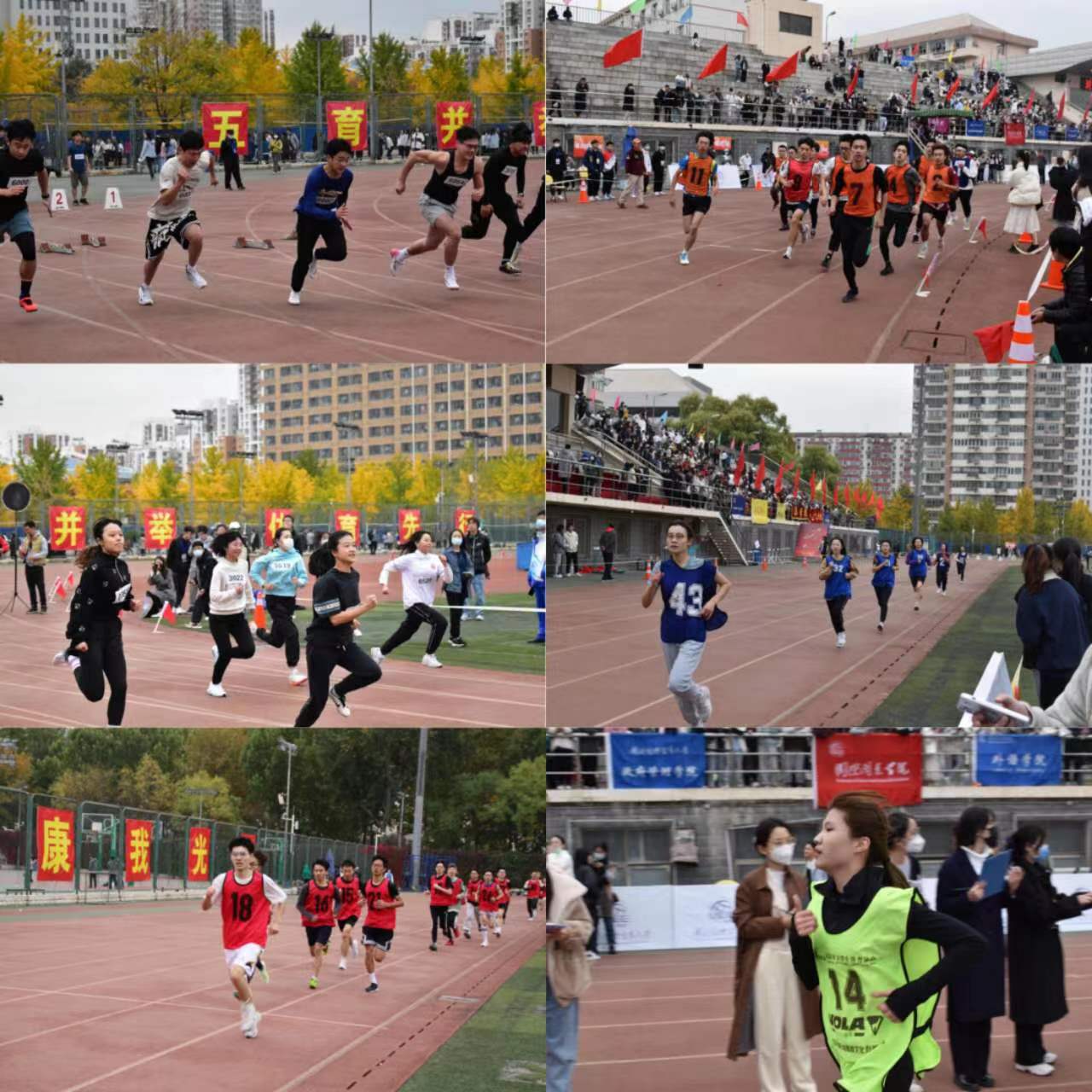 1681050720172606.jpg
